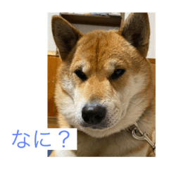 manmaru_20220204203639