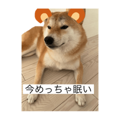 Ai_20220205123013