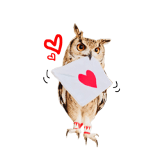 Owl Tenkai Part2