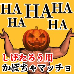 Shigetarou Pumpkin macho