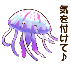 Easy-to-Use Jellyfish Sticker