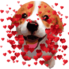 柯基犬麻吉 英文 Line貼圖 Line Store