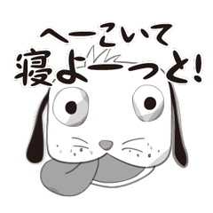 Japanese Funny dog