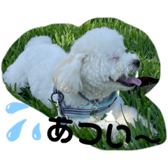 Saori_20220204002932