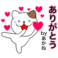 Name cat Akane