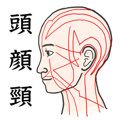 頭部、顔、頸のLINEスタンプ