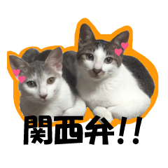 The cat sticker of Kansai dialect