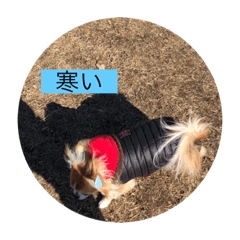 YUTO_20220205192244