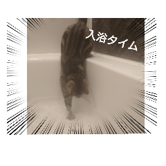 akiko_20220205235009