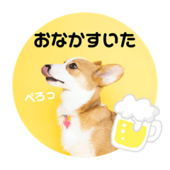 hana_20220206000303