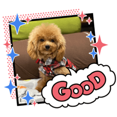 kaori_20220206070054