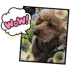 Emily_20220206085058