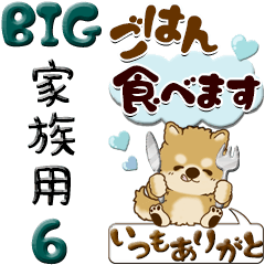 【Big】ちゃちゃ丸 6『家族連絡用』