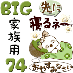 【Big】シーズー犬 74『家族連絡用』
