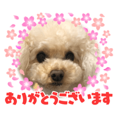 hana_20220206100735
