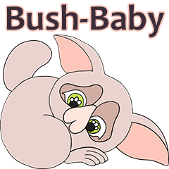 BushBaby
