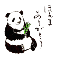 Serious Panda. Japanese calligraphy.