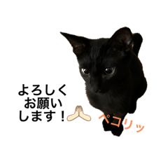 kuronekoyamatotokohanasan