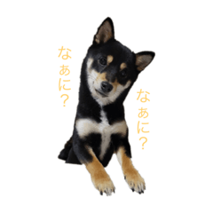 yuka_20220205195419