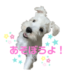 yuka_20220205234549