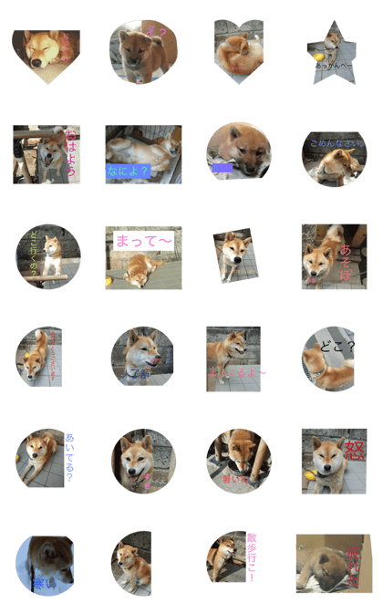 good.Dog
