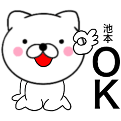 Name cat Ikemoto