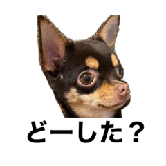 takuya_20220205210319
