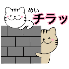 Name cat Mei