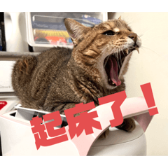 2047！(第二彈）