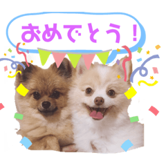 riho_20220206134520