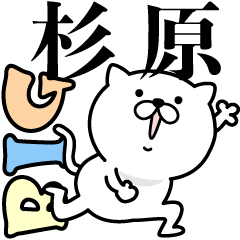 Pretty kitten SUGIHARA Sticker [BIG]