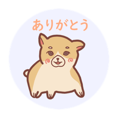 imadoki1