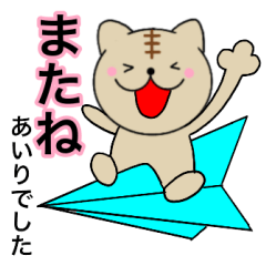 Name cat Airi