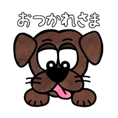 Rina_20220205212337