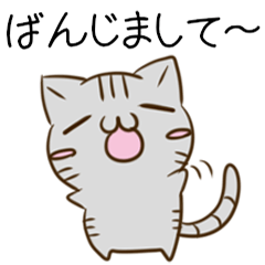 Shimane dialect cat & owl 3