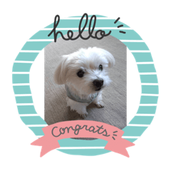 NOZOMI_20220206123251