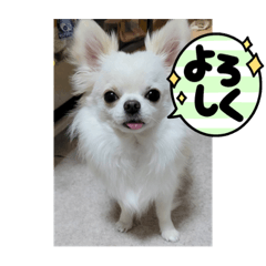 yuka_20220206202818