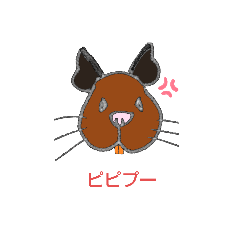 momoko_20220206214341