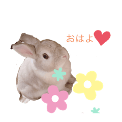 rina_20220206231520