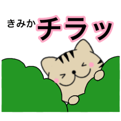 Name cat Kimika