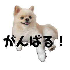 Ak_20220206235245