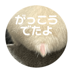 chisa_20220207002805