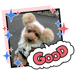 Emily_20220207100706