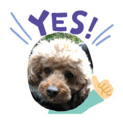 Emily_20220207103703