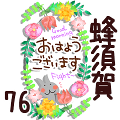 The hatisuka76