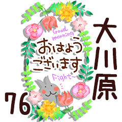 The ookawara76