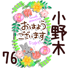 The onogi76