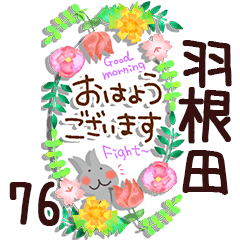 The haneda76
