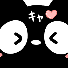Very cute black cat52
