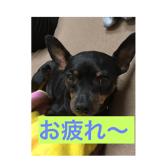 tonton_20220206191431